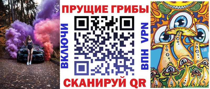 наркотики  Елец  Псилоцибиновые грибы мицелий 